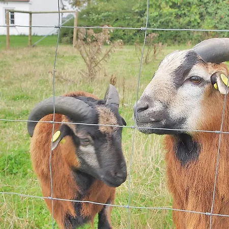 Iorund - 550m From The Sea By Interhome Prázdninový dům Haderslev