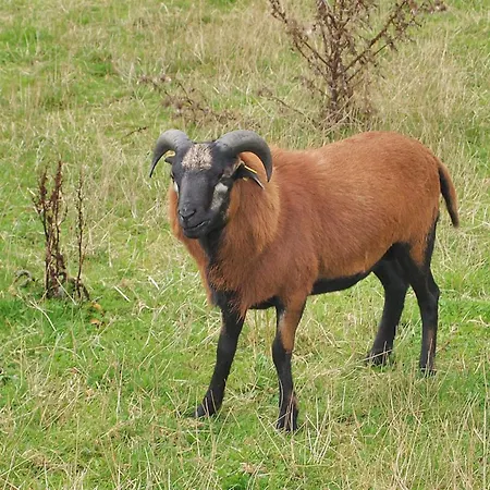 Iorund - 550m From The Sea By Interhome