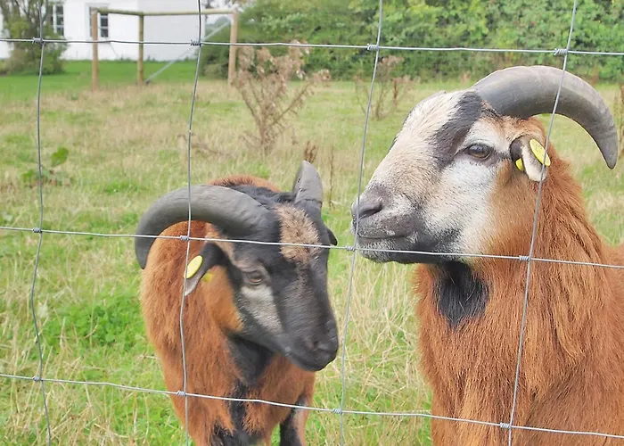 Iorund - 550m From The Sea By Interhome Holiday home Haderslev