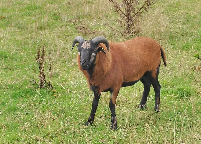 Iorund - 550m From The Sea By Interhome